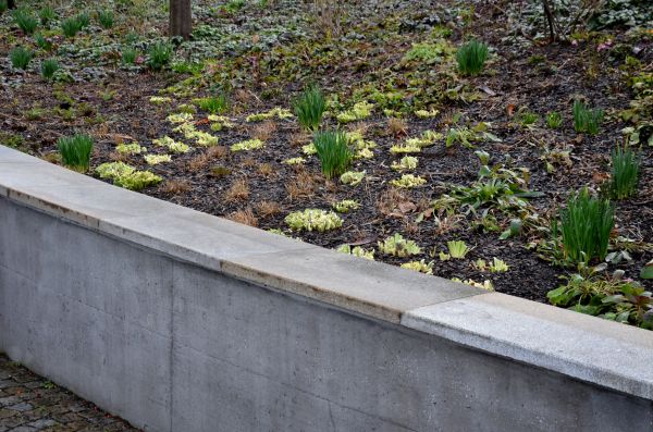 Concrete Wall Construction in San Mateo