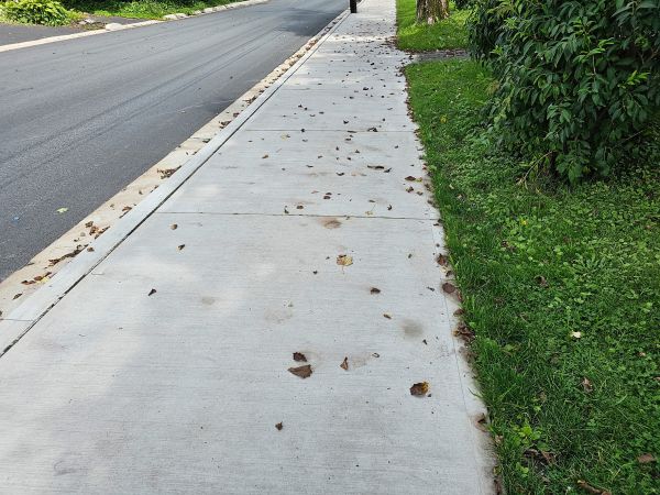 Cost of Sidewalk Renovation in San Mateo