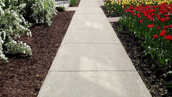 Cement Sidewalk Installation in San Mateo