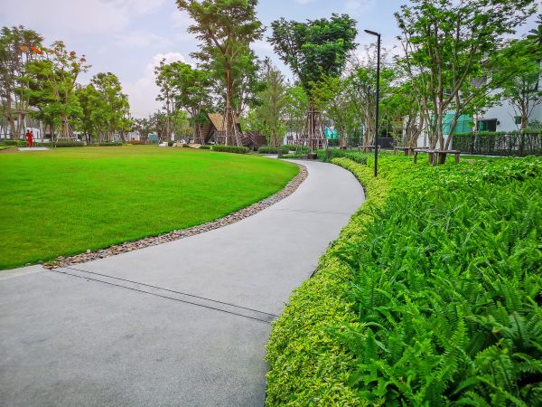 Cement Walkway Service in San Mateo