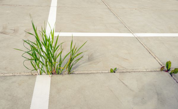 Concrete Parking Installation in San Mateo