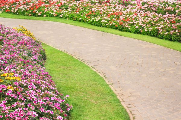 Concrete Walkway Service in San Mateo