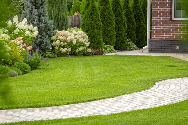 Landscape Walkway Installation in San Mateo